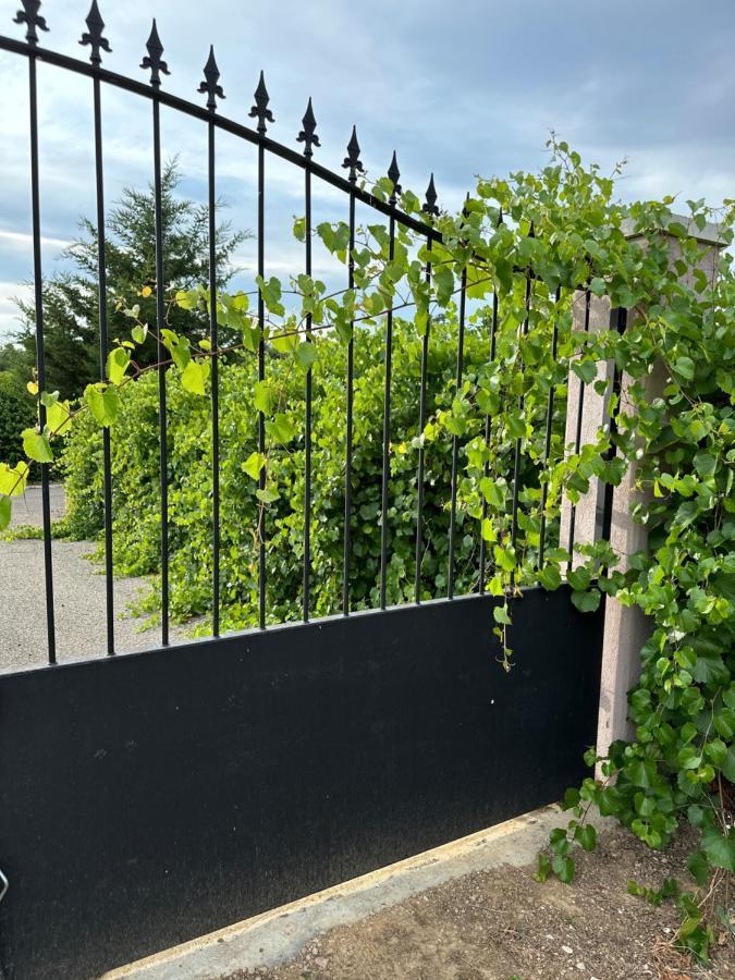 La Villa Du Rayol Saint Maximin Zewnętrze zdjęcie